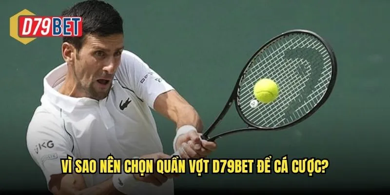 Trải Nghiệm Cá Cược Quần Vợt Đầy Thách Thức Tại d79bet 3 Vì sao nên chọn quần vợt d79bet để cá cược?