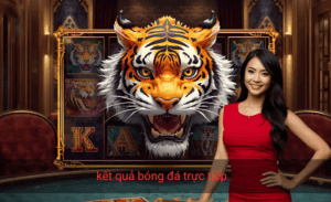 Kết quả bóng đá trực tiếp